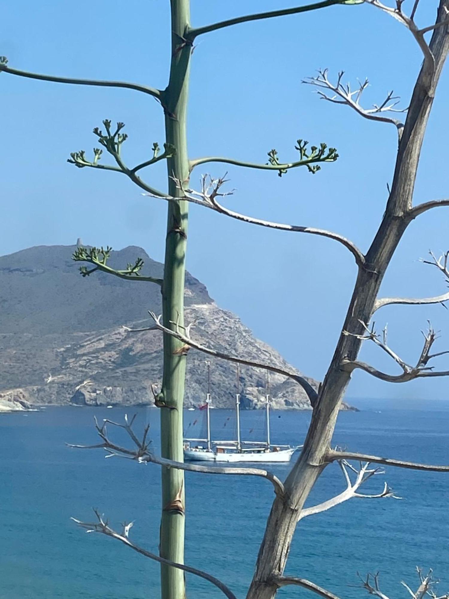 Casa Energia Del Cabo. San Jose Cabo De Gata. Villa Buitenkant foto